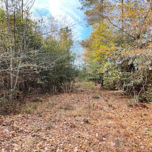 Photo #14 of SOLD property in Off Mullet Drive, Ivor, VA 25.5 acres