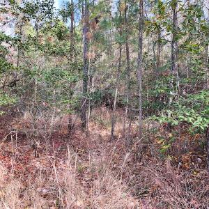 Photo #15 of SOLD property in Off Mullet Drive, Ivor, VA 25.5 acres