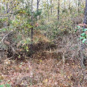 Photo #16 of SOLD property in Off Mullet Drive, Ivor, VA 25.5 acres