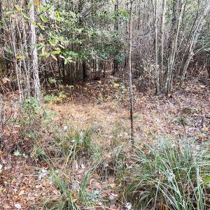 Photo #17 of SOLD property in Off Mullet Drive, Ivor, VA 25.5 acres