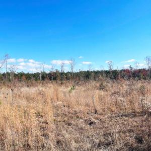 Photo #2 of SOLD property in Off Mullet Drive, Ivor, VA 25.5 acres
