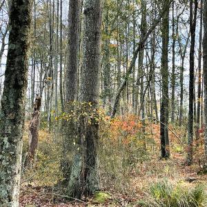 Photo #24 of SOLD property in Off Mullet Drive, Ivor, VA 25.5 acres