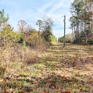 Photo #25 of SOLD property in Off Mullet Drive, Ivor, VA 25.5 acres