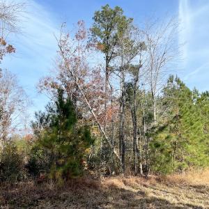 Photo #26 of SOLD property in Off Mullet Drive, Ivor, VA 25.5 acres