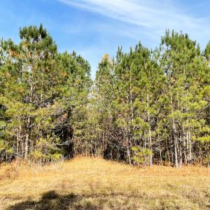 Photo #27 of SOLD property in Off Mullet Drive, Ivor, VA 25.5 acres