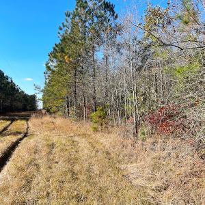 Photo #28 of SOLD property in Off Mullet Drive, Ivor, VA 25.5 acres