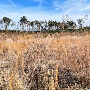 Photo #4 of SOLD property in Off Mullet Drive, Ivor, VA 25.5 acres