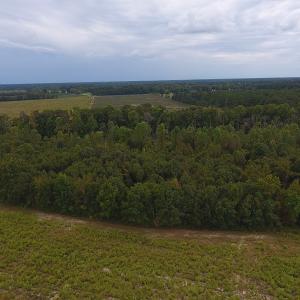 Photo #3 of SOLD property in Off Brayboy Road, Rowland, NC 10.0 acres