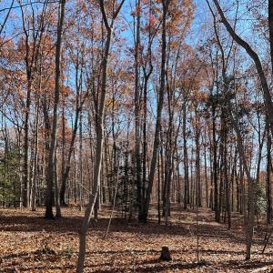 Photo #13 of SOLD property in Off Middlebrook Dr, Doswell, VA 16.8 acres