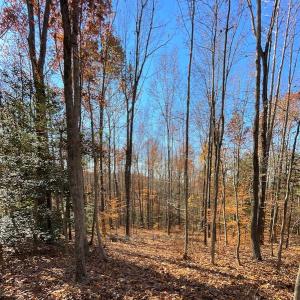 Photo #14 of SOLD property in Off Middlebrook Dr, Doswell, VA 16.8 acres