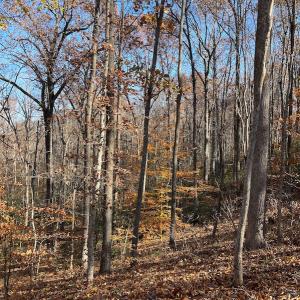 Photo #15 of SOLD property in Off Middlebrook Dr, Doswell, VA 16.8 acres