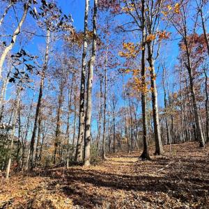 Photo #16 of SOLD property in Off Middlebrook Dr, Doswell, VA 16.8 acres