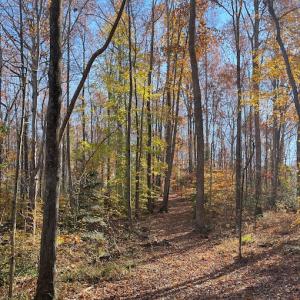 Photo #18 of SOLD property in Off Middlebrook Dr, Doswell, VA 16.8 acres