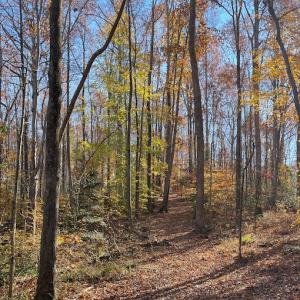 Photo #18 of SOLD property in Off Middlebrook Dr, Doswell, VA 16.8 acres
