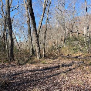 Photo #19 of SOLD property in Off Middlebrook Dr, Doswell, VA 16.8 acres