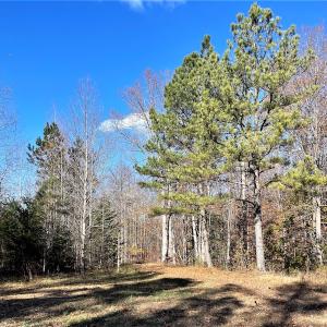 Photo #2 of SOLD property in Off Middlebrook Dr, Doswell, VA 16.8 acres