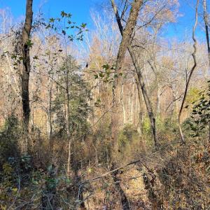 Photo #20 of SOLD property in Off Middlebrook Dr, Doswell, VA 16.8 acres