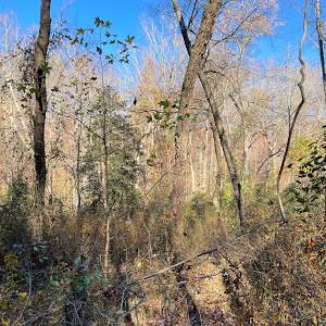 Photo #20 of SOLD property in Off Middlebrook Dr, Doswell, VA 16.8 acres