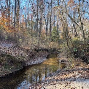 Photo #22 of SOLD property in Off Middlebrook Dr, Doswell, VA 16.8 acres