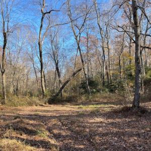Photo #23 of SOLD property in Off Middlebrook Dr, Doswell, VA 16.8 acres