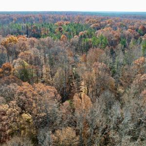 Photo #24 of SOLD property in Off Middlebrook Dr, Doswell, VA 16.8 acres