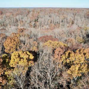 Photo #26 of SOLD property in Off Middlebrook Dr, Doswell, VA 16.8 acres