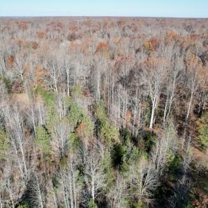Photo #27 of SOLD property in Off Middlebrook Dr, Doswell, VA 16.8 acres