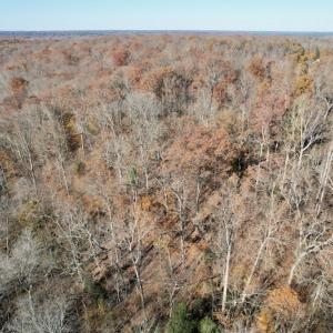 Photo #28 of SOLD property in Off Middlebrook Dr, Doswell, VA 16.8 acres