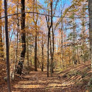 Photo #3 of SOLD property in Off Middlebrook Dr, Doswell, VA 16.8 acres