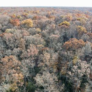 Photo #29 of SOLD property in Off Middlebrook Dr, Doswell, VA 16.8 acres