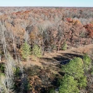 Photo #30 of SOLD property in Off Middlebrook Dr, Doswell, VA 16.8 acres