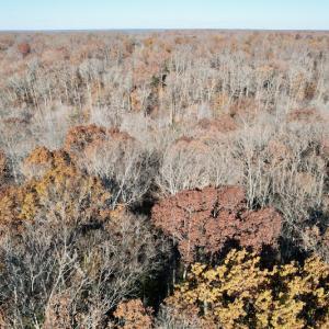 Photo #31 of SOLD property in Off Middlebrook Dr, Doswell, VA 16.8 acres