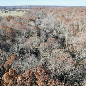 Photo #32 of SOLD property in Off Middlebrook Dr, Doswell, VA 16.8 acres