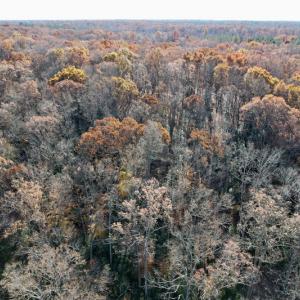 Photo #33 of SOLD property in Off Middlebrook Dr, Doswell, VA 16.8 acres
