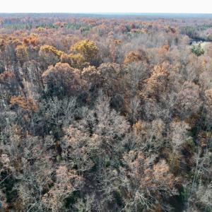 Photo #34 of SOLD property in Off Middlebrook Dr, Doswell, VA 16.8 acres