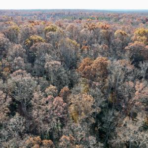 Photo #35 of SOLD property in Off Middlebrook Dr, Doswell, VA 16.8 acres