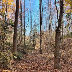 Photo #4 of SOLD property in Off Middlebrook Dr, Doswell, VA 16.8 acres