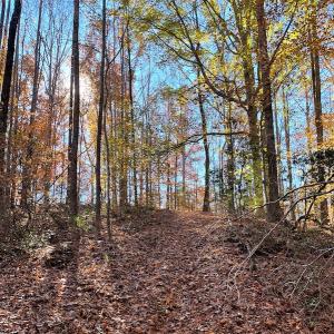 Photo #5 of SOLD property in Off Middlebrook Dr, Doswell, VA 16.8 acres