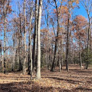 Photo #7 of SOLD property in Off Middlebrook Dr, Doswell, VA 16.8 acres