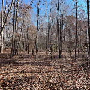 Photo #11 of SOLD property in Off Middlebrook Dr, Doswell, VA 13.8 acres