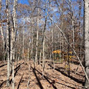 Photo #12 of SOLD property in Off Middlebrook Dr, Doswell, VA 13.8 acres