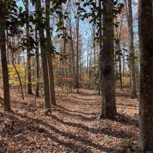 Photo #15 of SOLD property in Off Middlebrook Dr, Doswell, VA 13.8 acres
