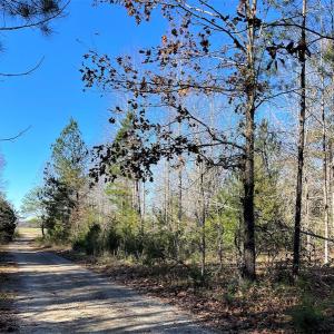 Photo #18 of SOLD property in Off Middlebrook Dr, Doswell, VA 13.8 acres