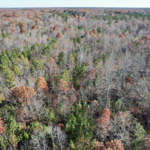 Photo #19 of SOLD property in Off Middlebrook Dr, Doswell, VA 13.8 acres