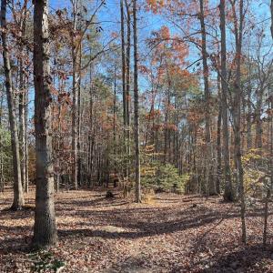 Photo #2 of SOLD property in Off Middlebrook Dr, Doswell, VA 13.8 acres