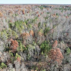 Photo #20 of SOLD property in Off Middlebrook Dr, Doswell, VA 13.8 acres