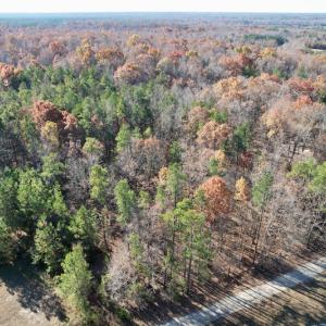 Photo #21 of SOLD property in Off Middlebrook Dr, Doswell, VA 13.8 acres