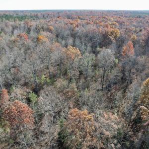 Photo #22 of SOLD property in Off Middlebrook Dr, Doswell, VA 13.8 acres
