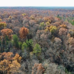 Photo #23 of SOLD property in Off Middlebrook Dr, Doswell, VA 13.8 acres