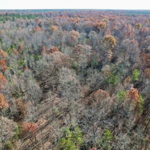 Photo #24 of SOLD property in Off Middlebrook Dr, Doswell, VA 13.8 acres